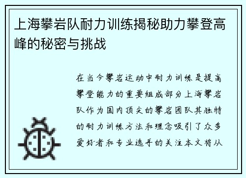 上海攀岩队耐力训练揭秘助力攀登高峰的秘密与挑战