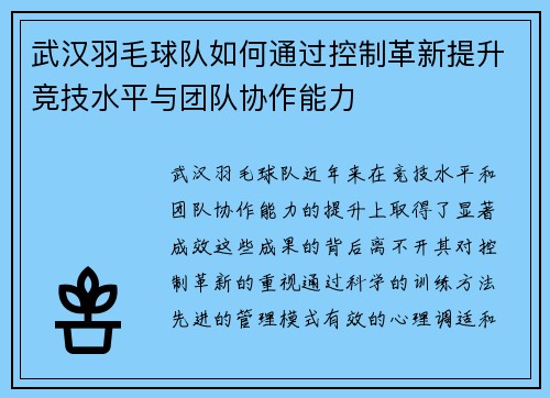 武汉羽毛球队如何通过控制革新提升竞技水平与团队协作能力